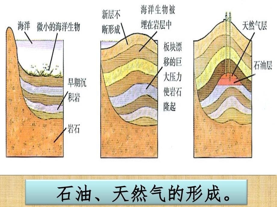 五年级下册科学   煤与 石油_第5页