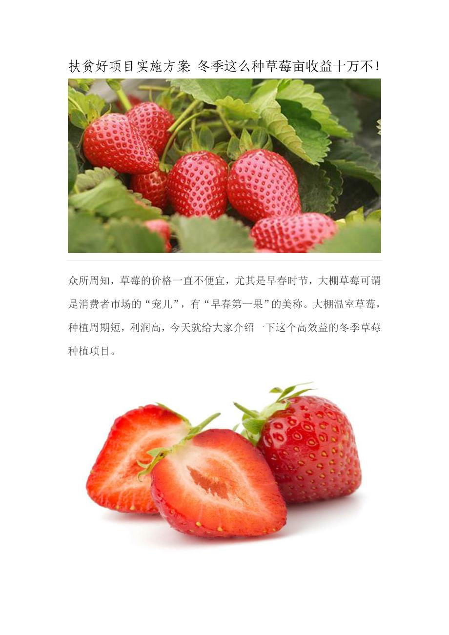 扶贫好项目实施方案：冬季这么种草莓亩收益十万不！_第1页