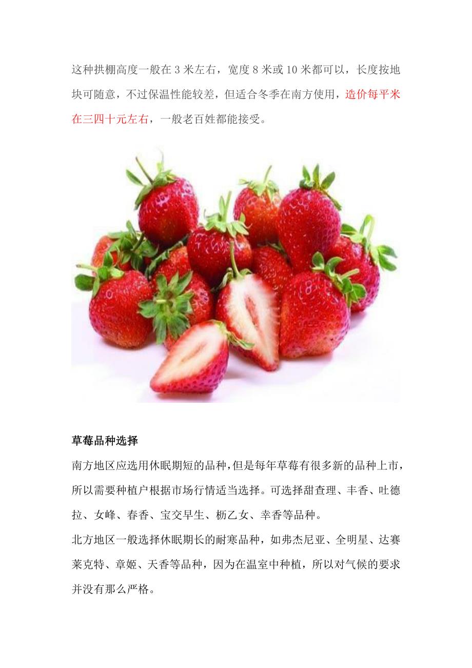 扶贫好项目实施方案：冬季这么种草莓亩收益十万不！_第4页