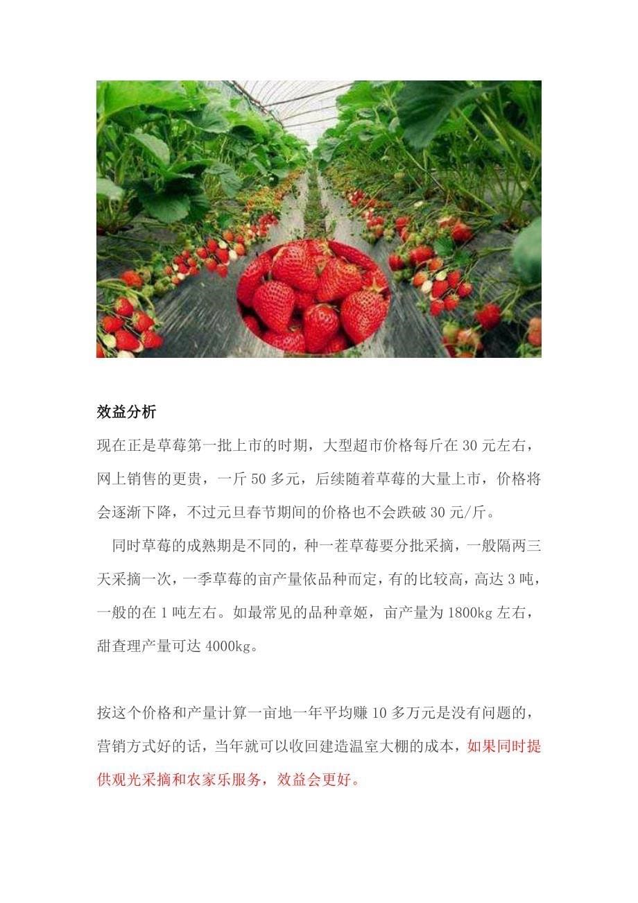 扶贫好项目实施方案：冬季这么种草莓亩收益十万不！_第5页