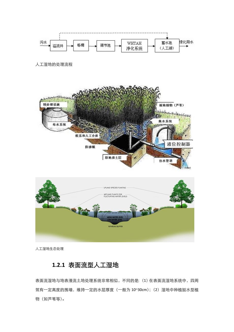 湿地及湿地污水处理系统_第2页