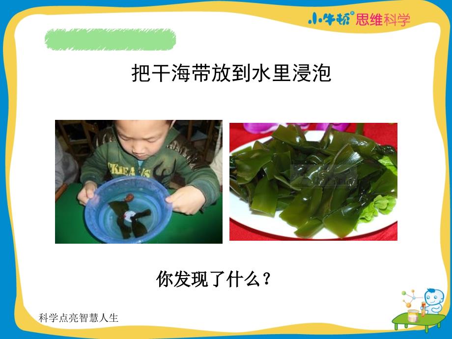 孵出来的动物1孵出来的动物_第4页