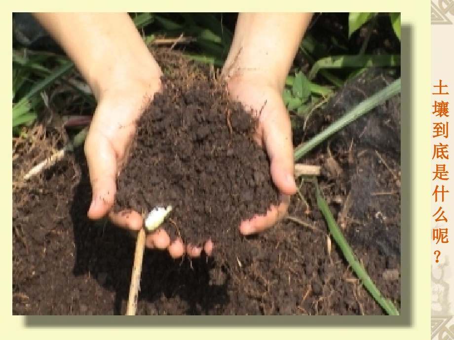 土壤与肥料课件_第3页