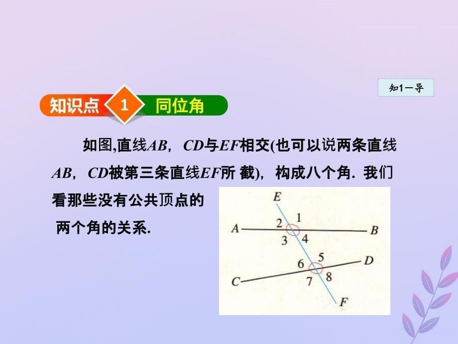 七年级数学下册第五章相交线与平行线5.1相交线_第5页