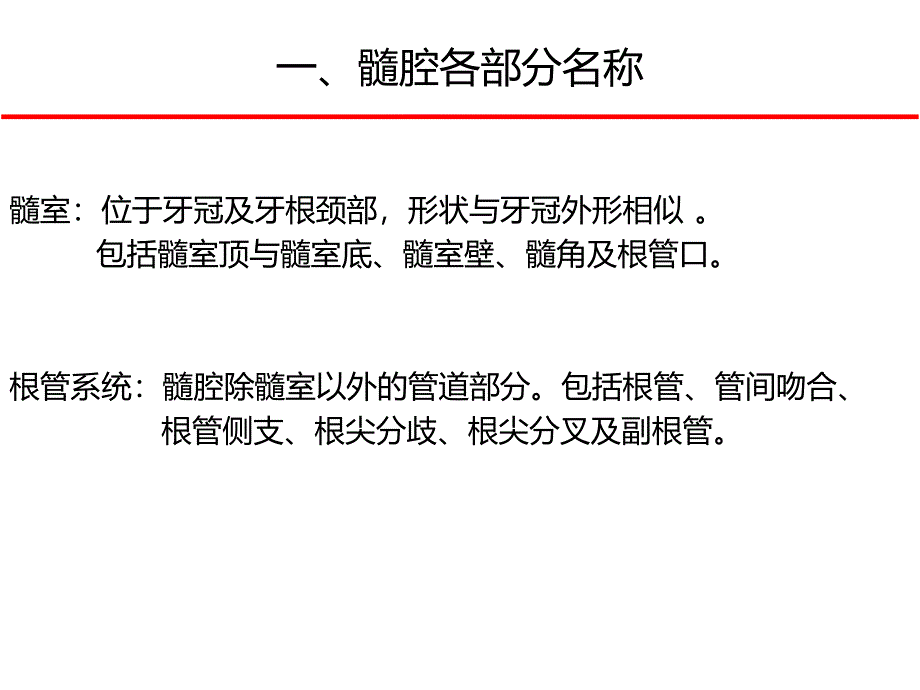 下颌磨牙髓腔解 剖及 开髓_第3页