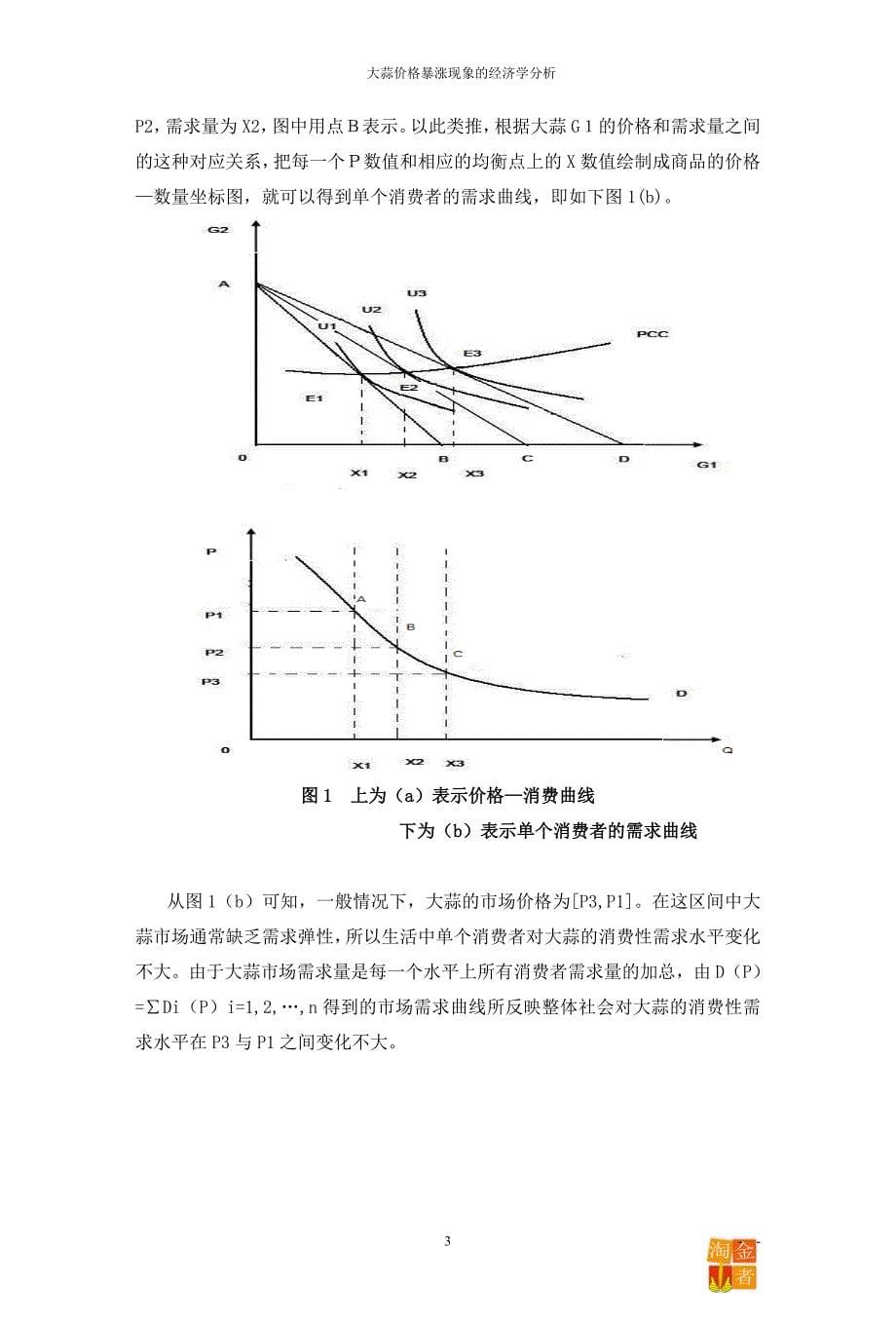 蒜你狠经济分析——完整版a要点_第5页