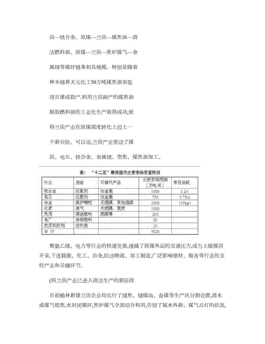 榆林市兰炭产业发展调研报告精_第5页