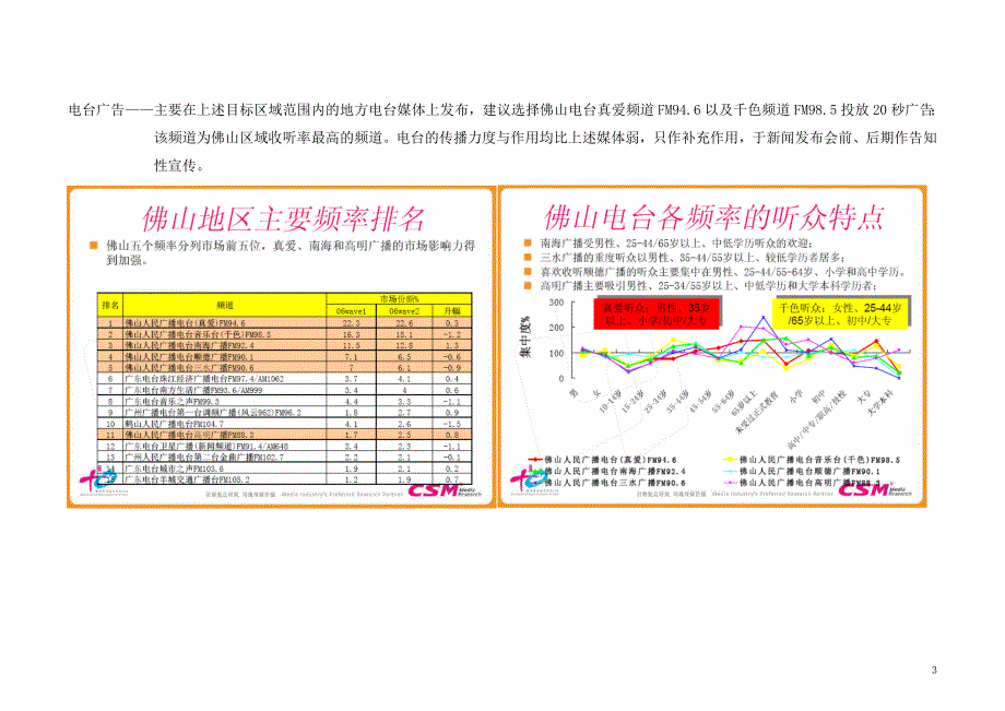 大沥新都会推广纲要_第3页