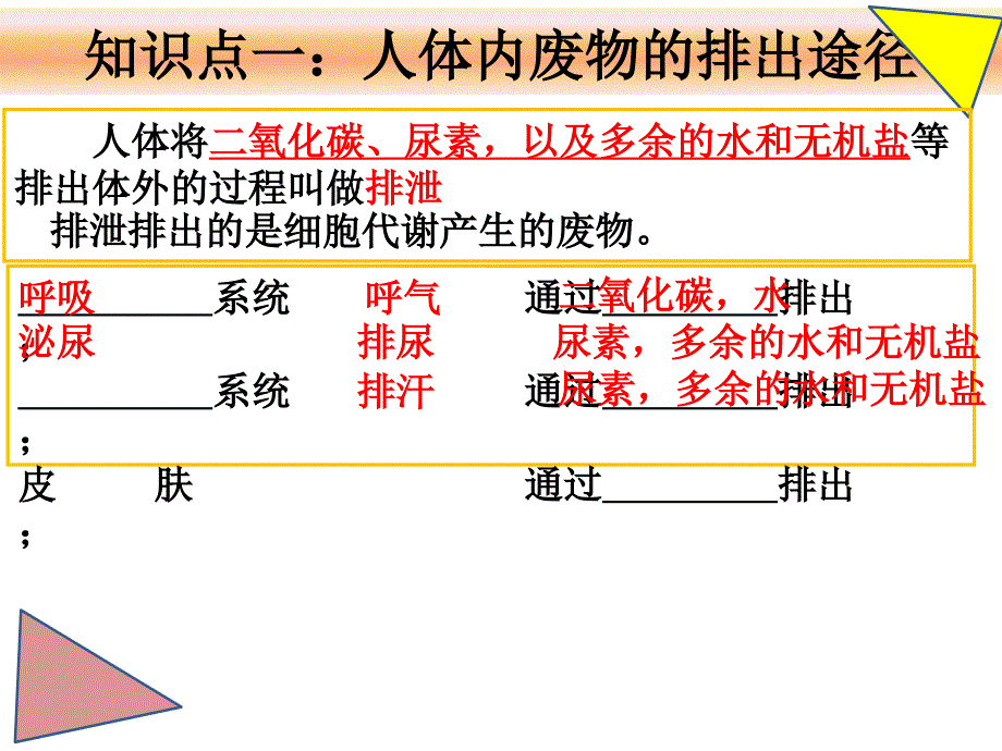 人体内废物的 排出 复习_第1页