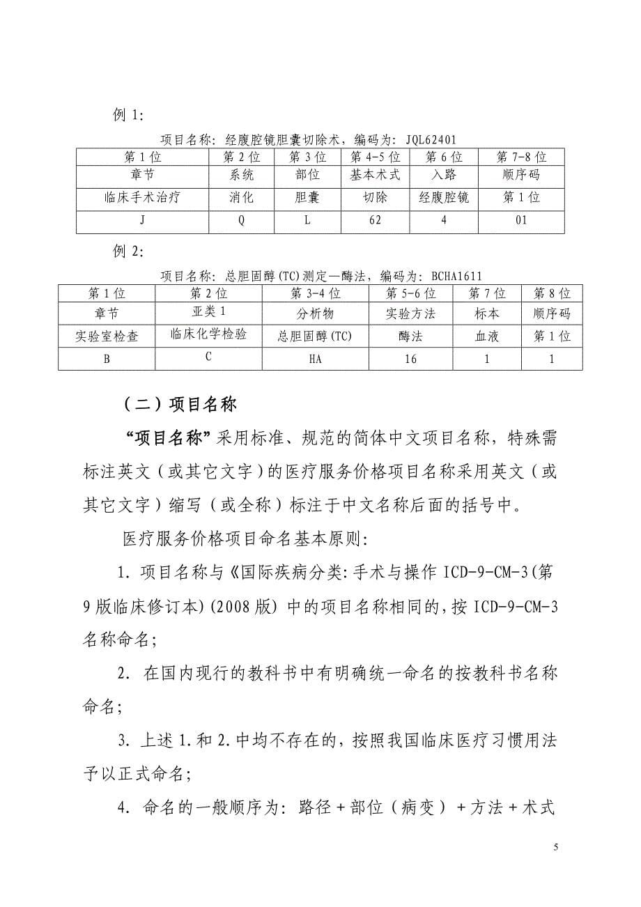 全国医疗服务价格项目规范2010版定价指导手册_第5页