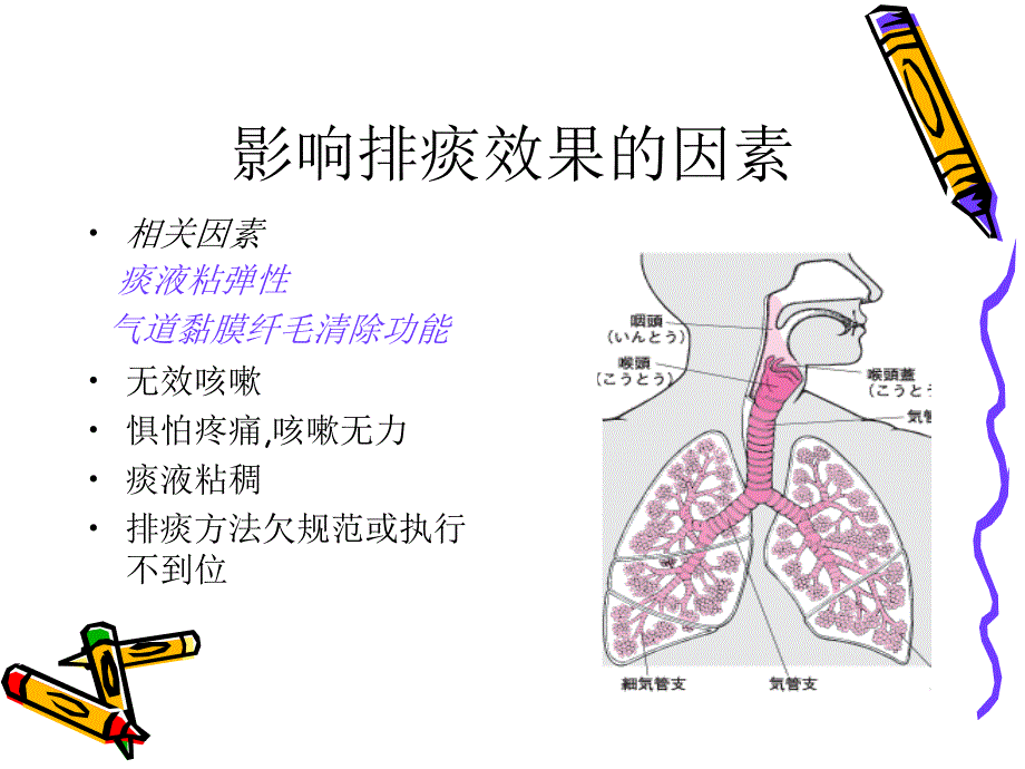 促进 有效 排痰_第3页