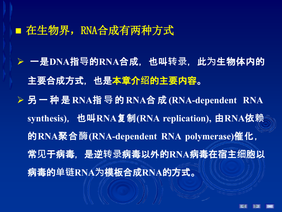 生物化学与分子生物学RNA的生物合成_第3页