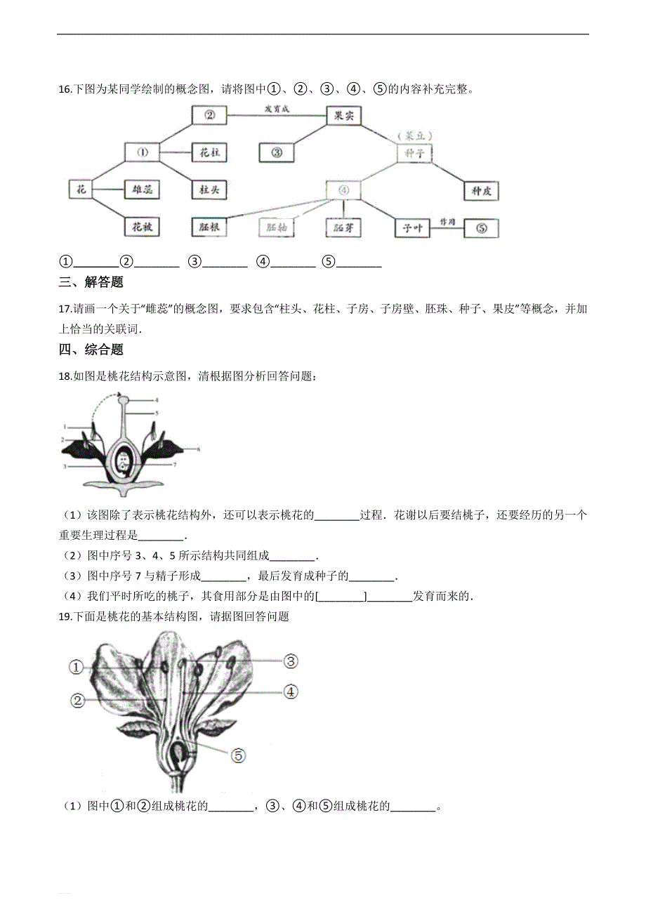 鲁科版（五四制）六年级下册生物跟踪训练 3.2.3开花和结果（解析版）_第3页