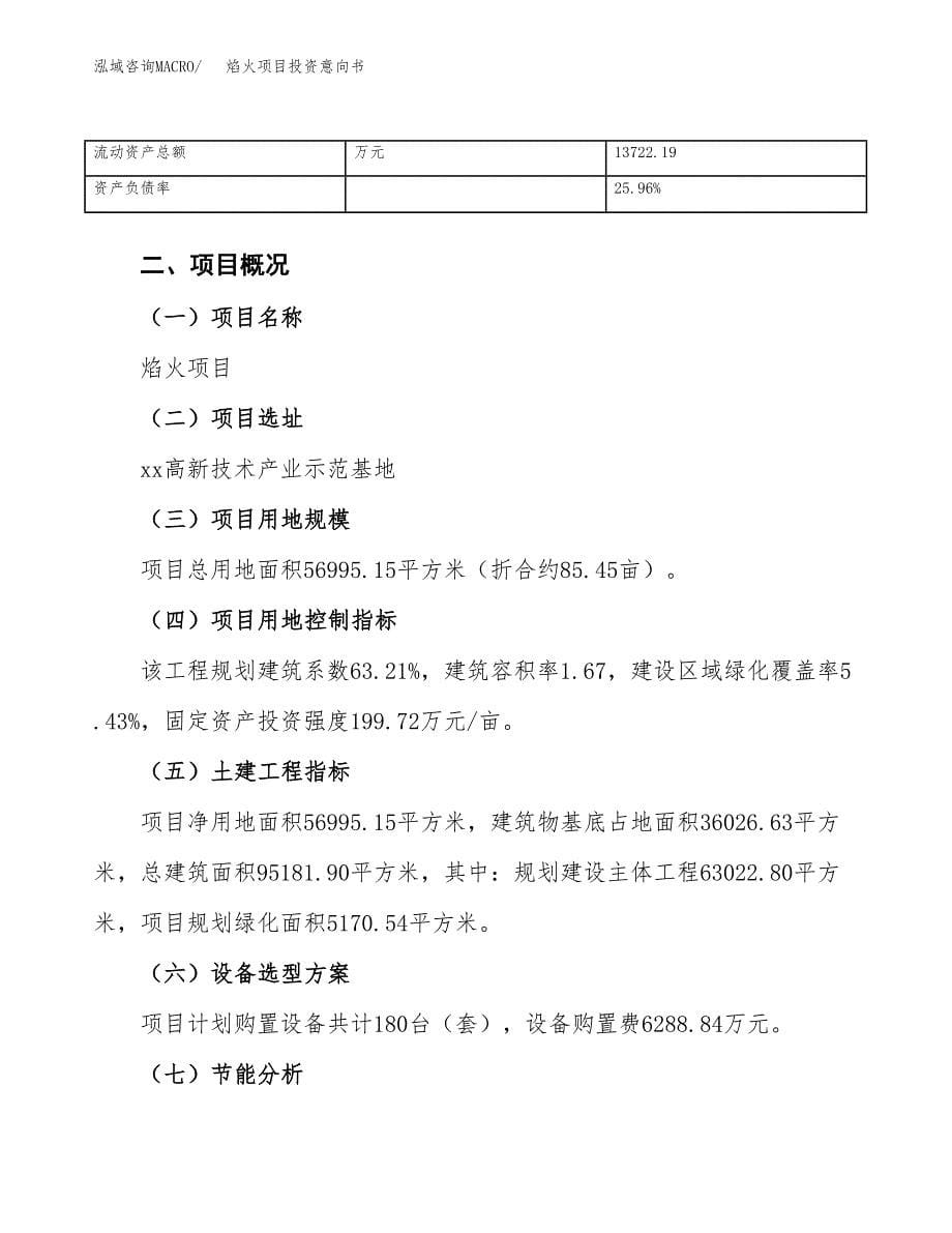 焰火项目投资意向书(总投资21000万元)_第5页