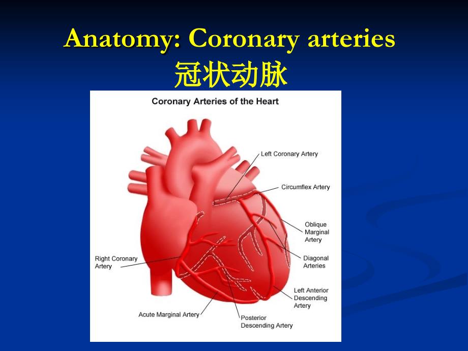 外科学心脏外科概论_第3页