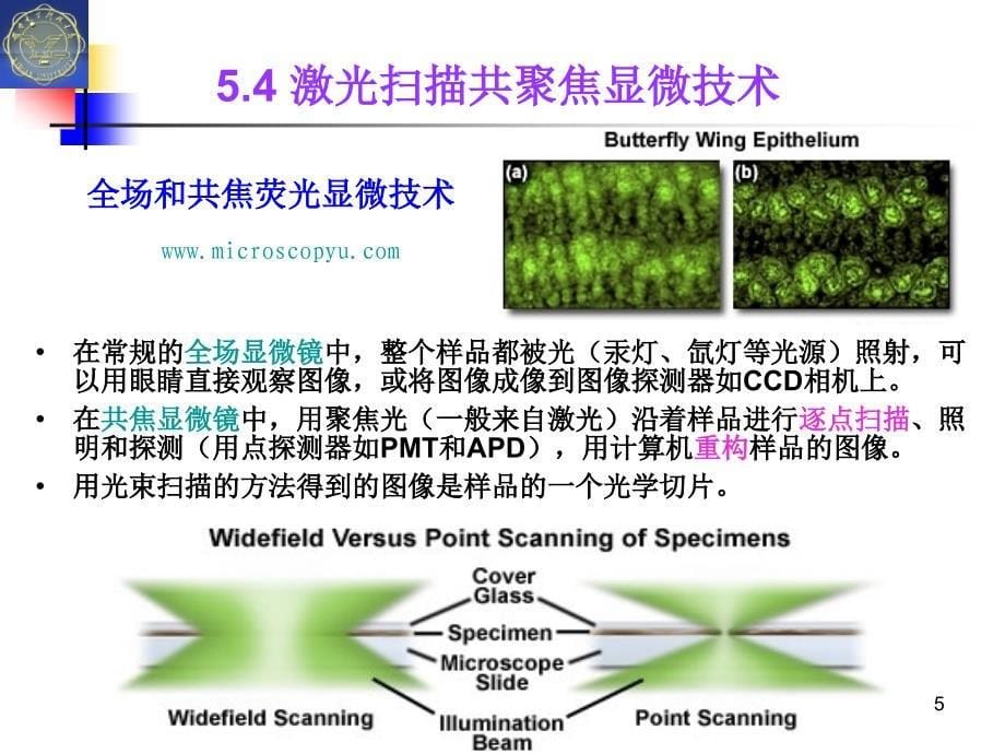 生物光子学5-03_第5页