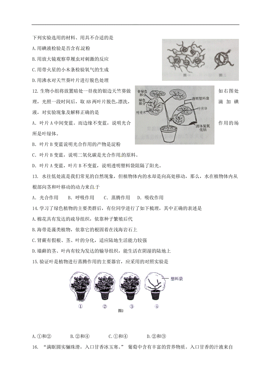 山东省垦利县七年级上学期生物期中试题及答案_第3页