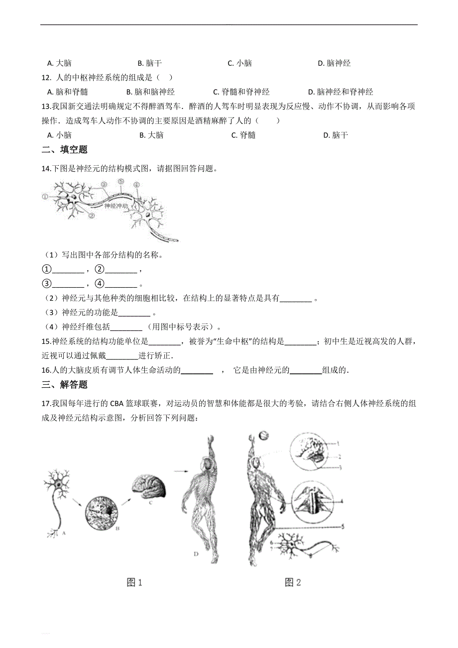 京改版七年级下册生物跟踪训练 8.1神经系统的组成_第2页