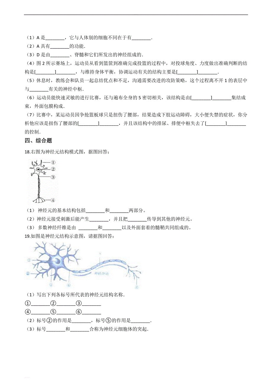 京改版七年级下册生物跟踪训练 8.1神经系统的组成_第3页