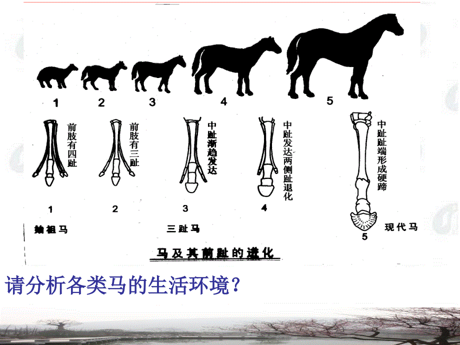 初中科学教材的特点分析与主要变化_第2页