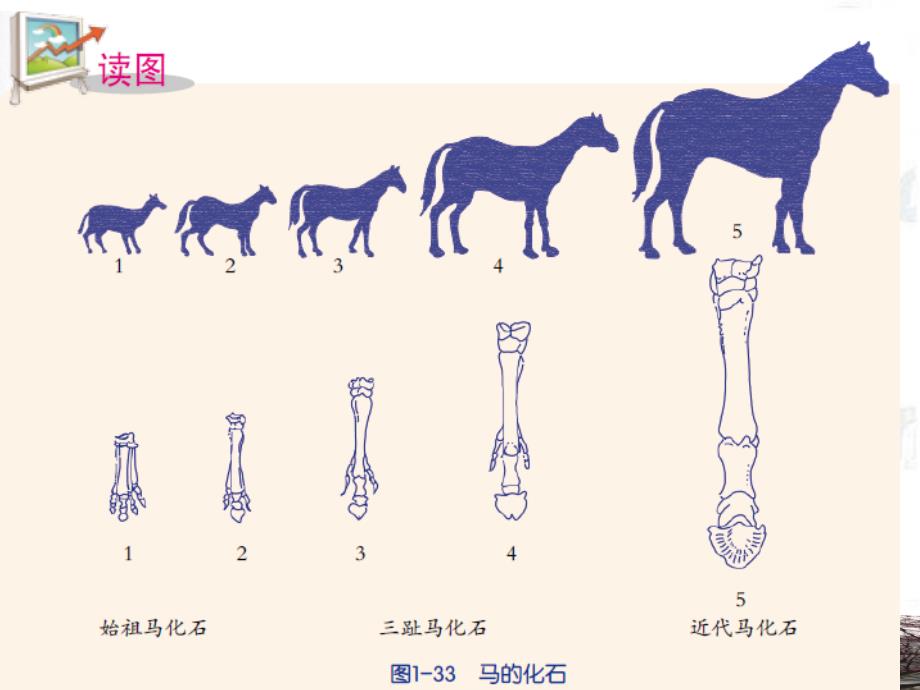 初中科学教材的特点分析与主要变化_第3页