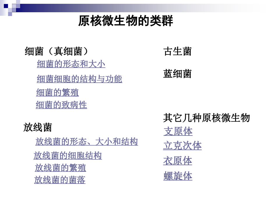 微生物2原核微生物王莹_第3页