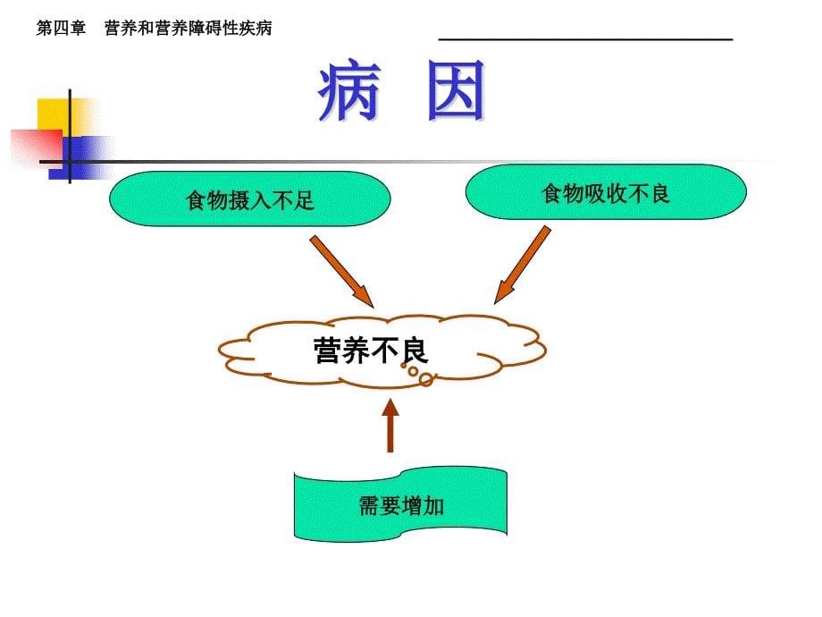 儿科学第四节蛋白质-能量营养障碍_第5页