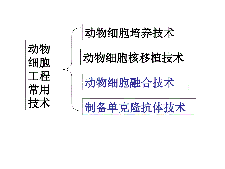 专题3：动物细胞融合与单克隆抗体_第3页