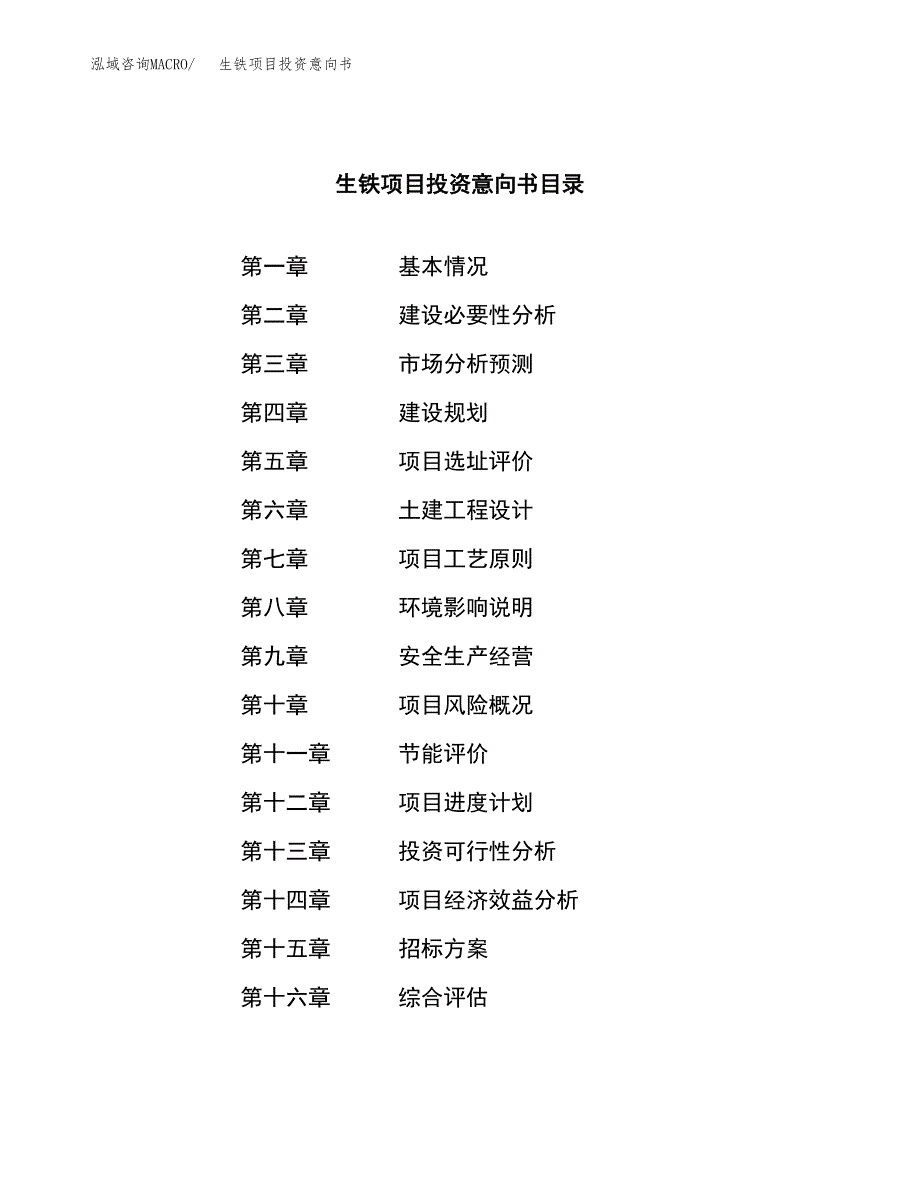 生铁项目投资意向书(总投资5000万元)_第2页