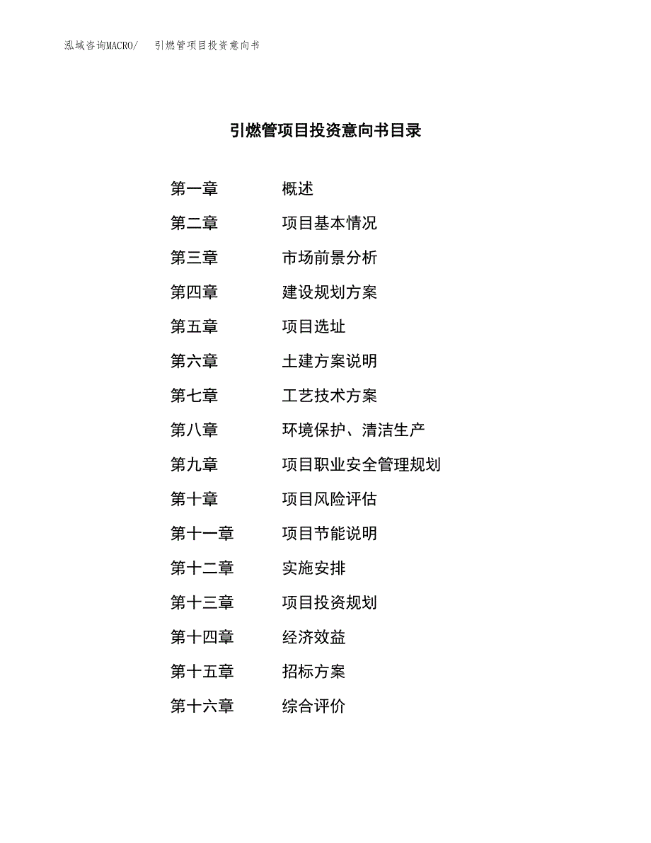 引燃管项目投资意向书(总投资16000万元)_第2页