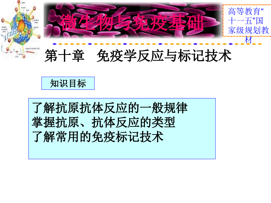 微生物与免疫基础第十章节免疫学反应与标记技术10章节_第2页