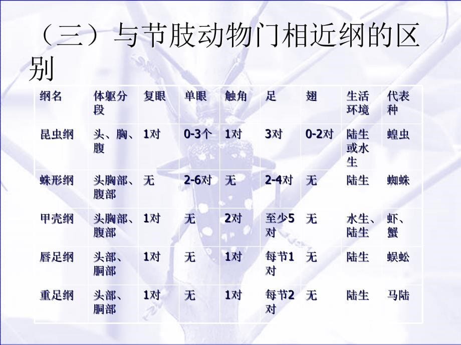 园林病虫害防治1园林昆虫鉴别昆虫学基础_第5页