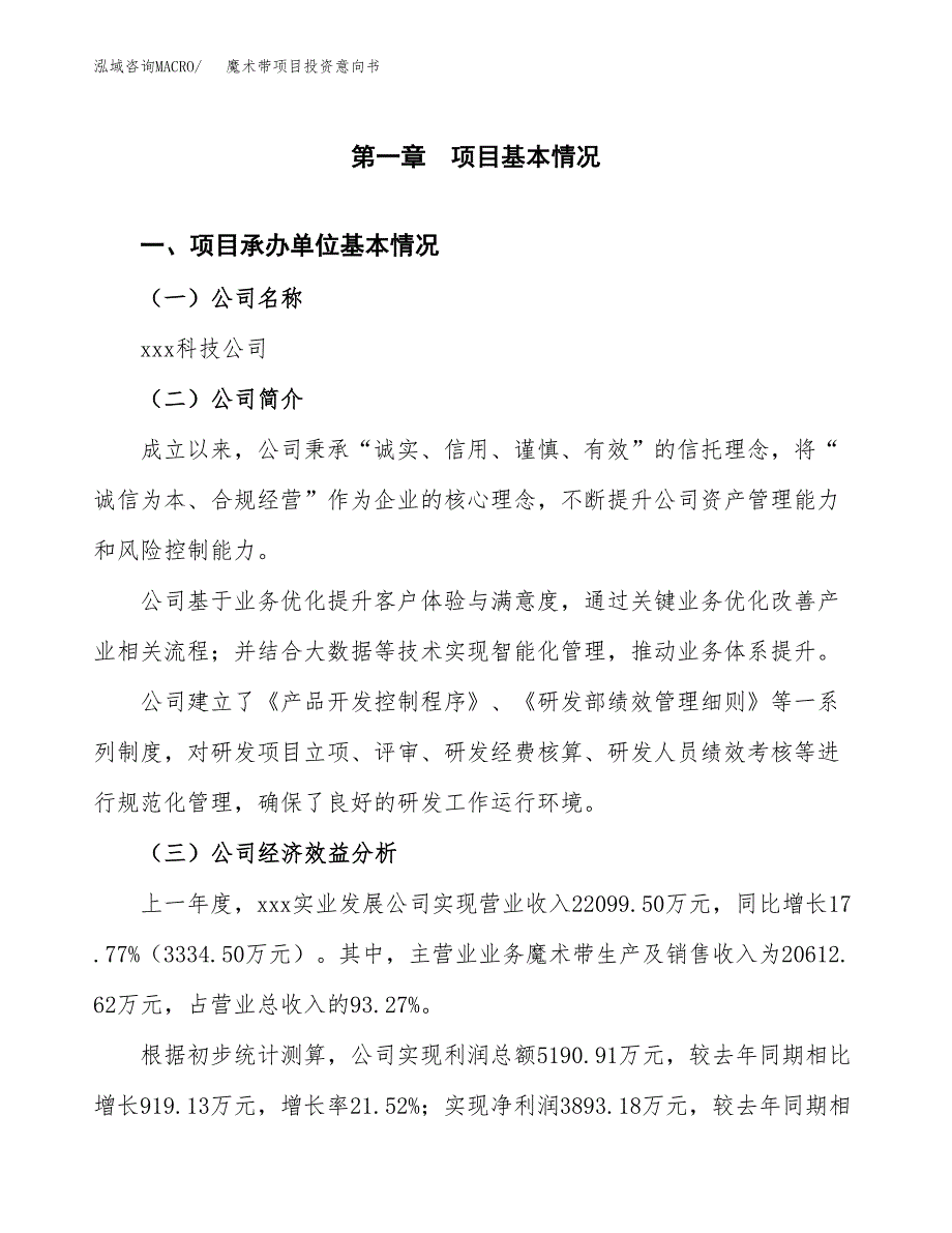 魔术带项目投资意向书(总投资14000万元)_第3页