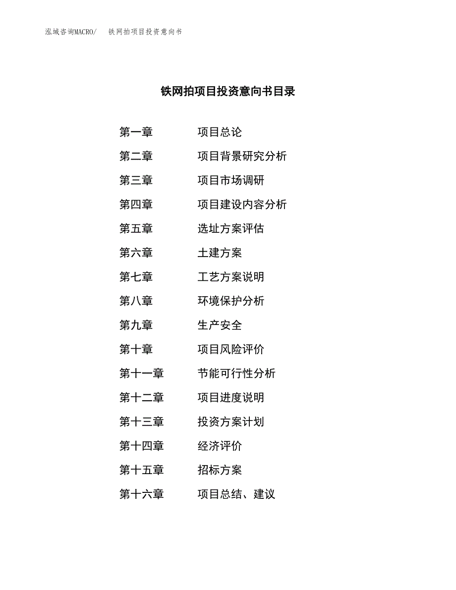 铁网拍项目投资意向书(总投资4000万元)_第2页