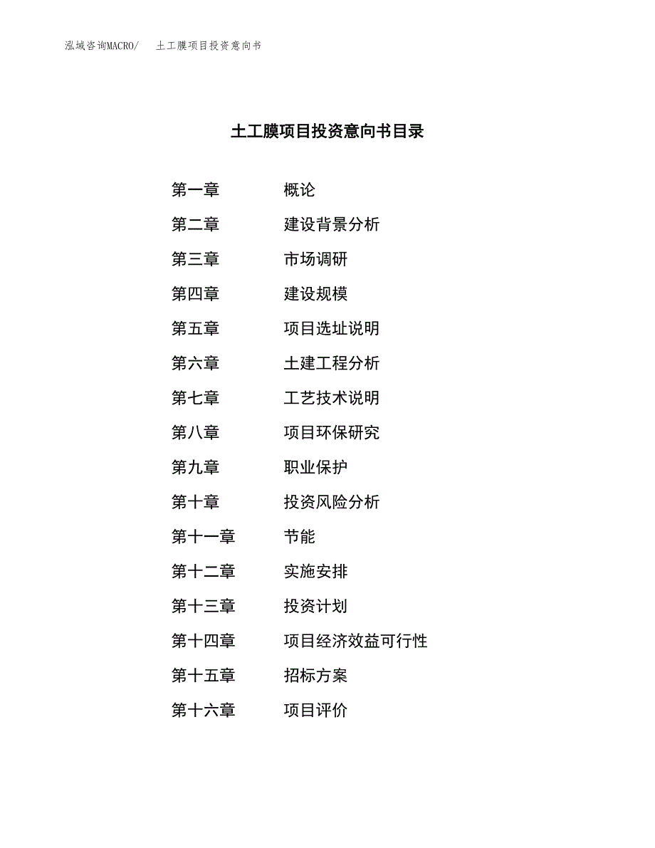 土工膜项目投资意向书(总投资17000万元)_第2页