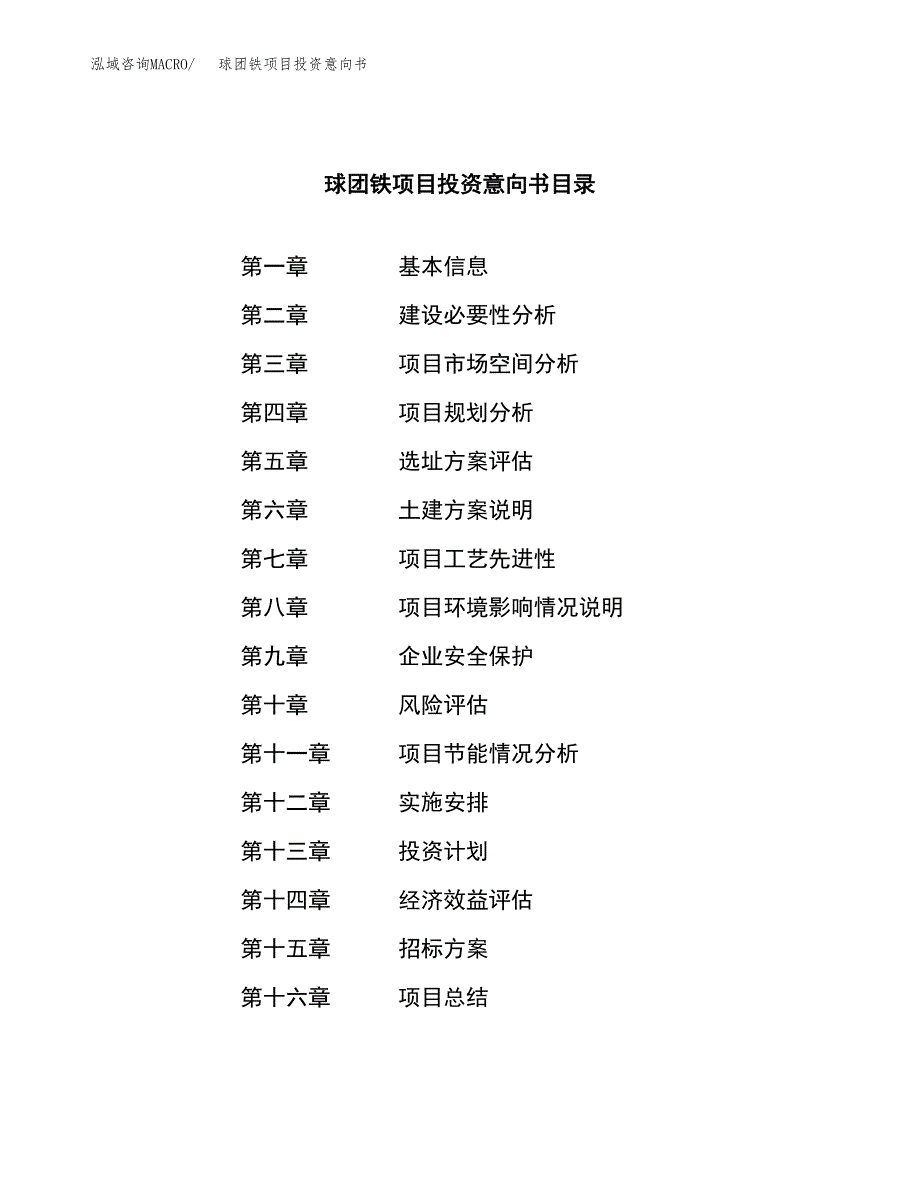 球团铁项目投资意向书(总投资13000万元)_第2页