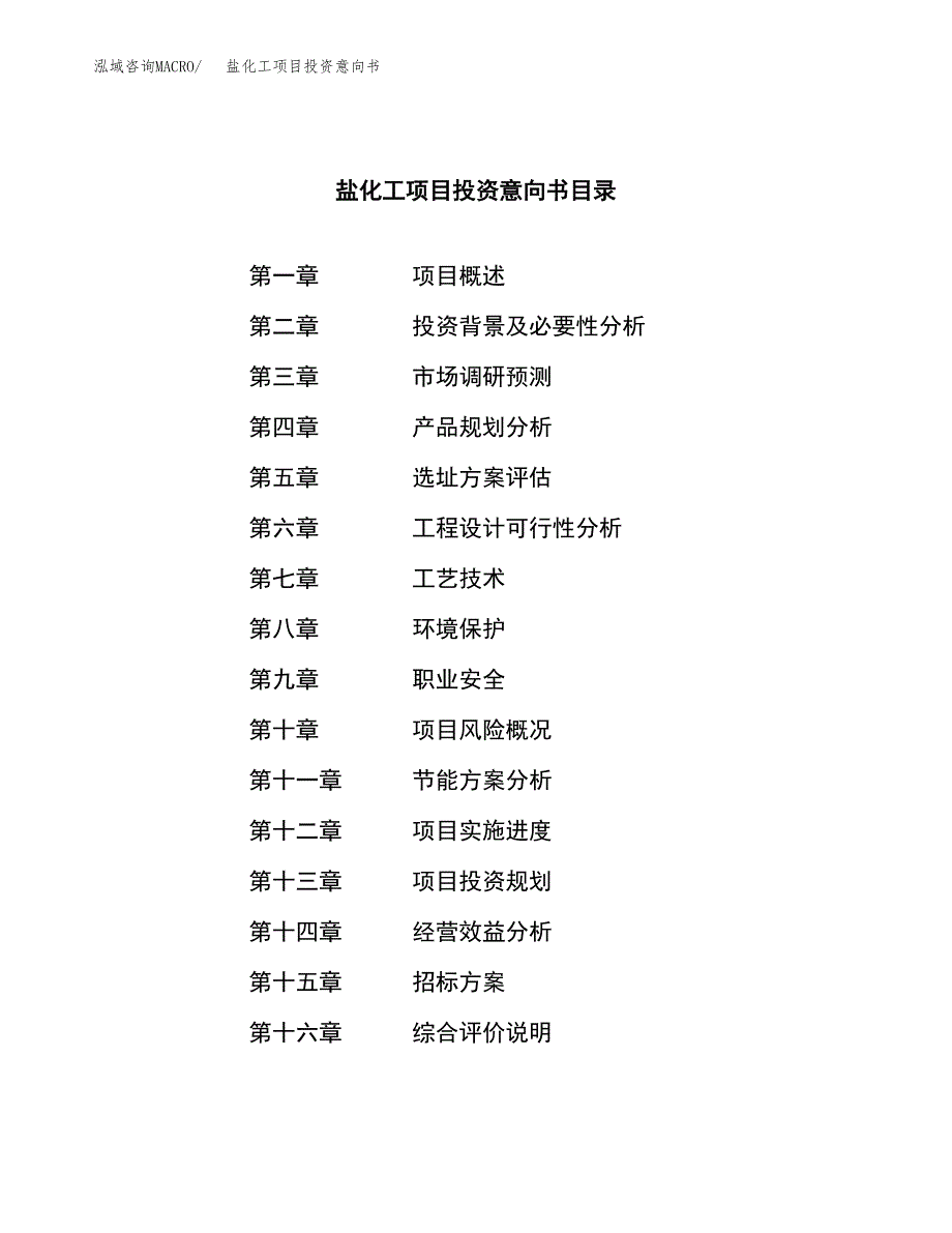 盐化工项目投资意向书(总投资18000万元)_第2页