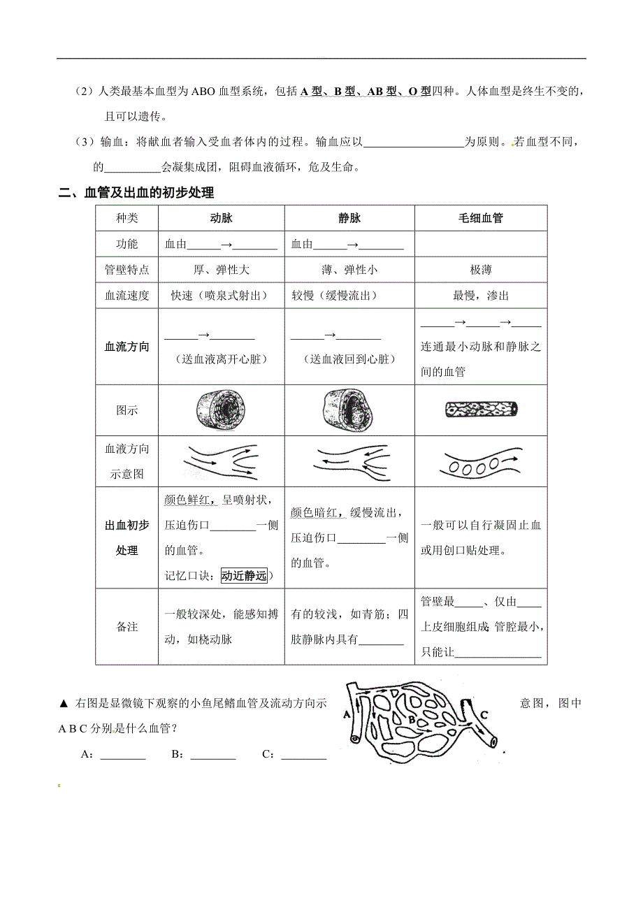 福建省七年级生物下册：第9章 人体物质内的运输 期中复习知识要点 填空_第3页