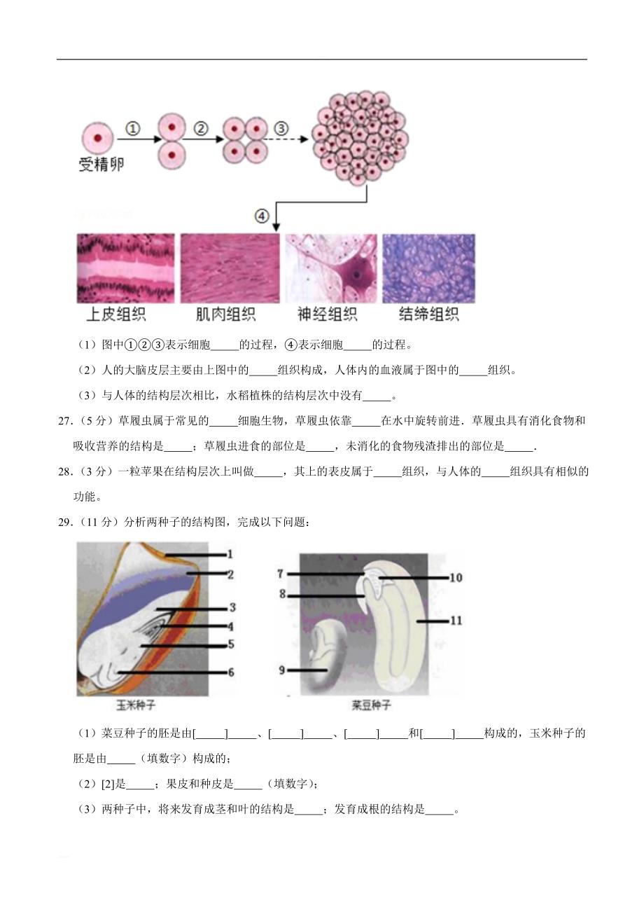 2018-2019学年福建省宁德市霞浦一中七年级（上）第二次月考生物试卷  精编含解析_第4页