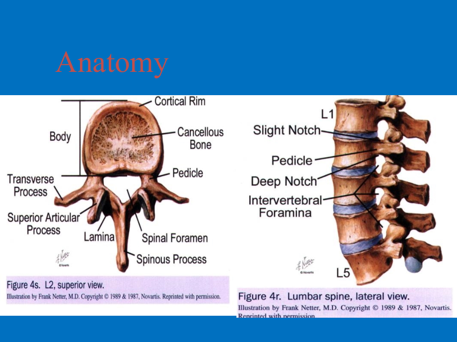 外科学脊柱骨折与脊髓损伤(英文)_第4页