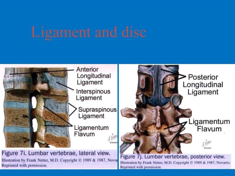 外科学脊柱骨折与脊髓损伤(英文)_第5页