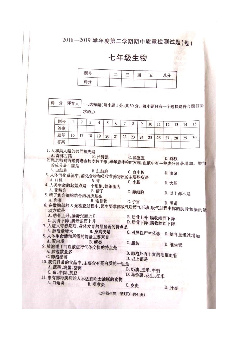 陕西省宝鸡市陈仓区2018-2019学年度第二学期期中七年级生物质量检测试卷_第1页