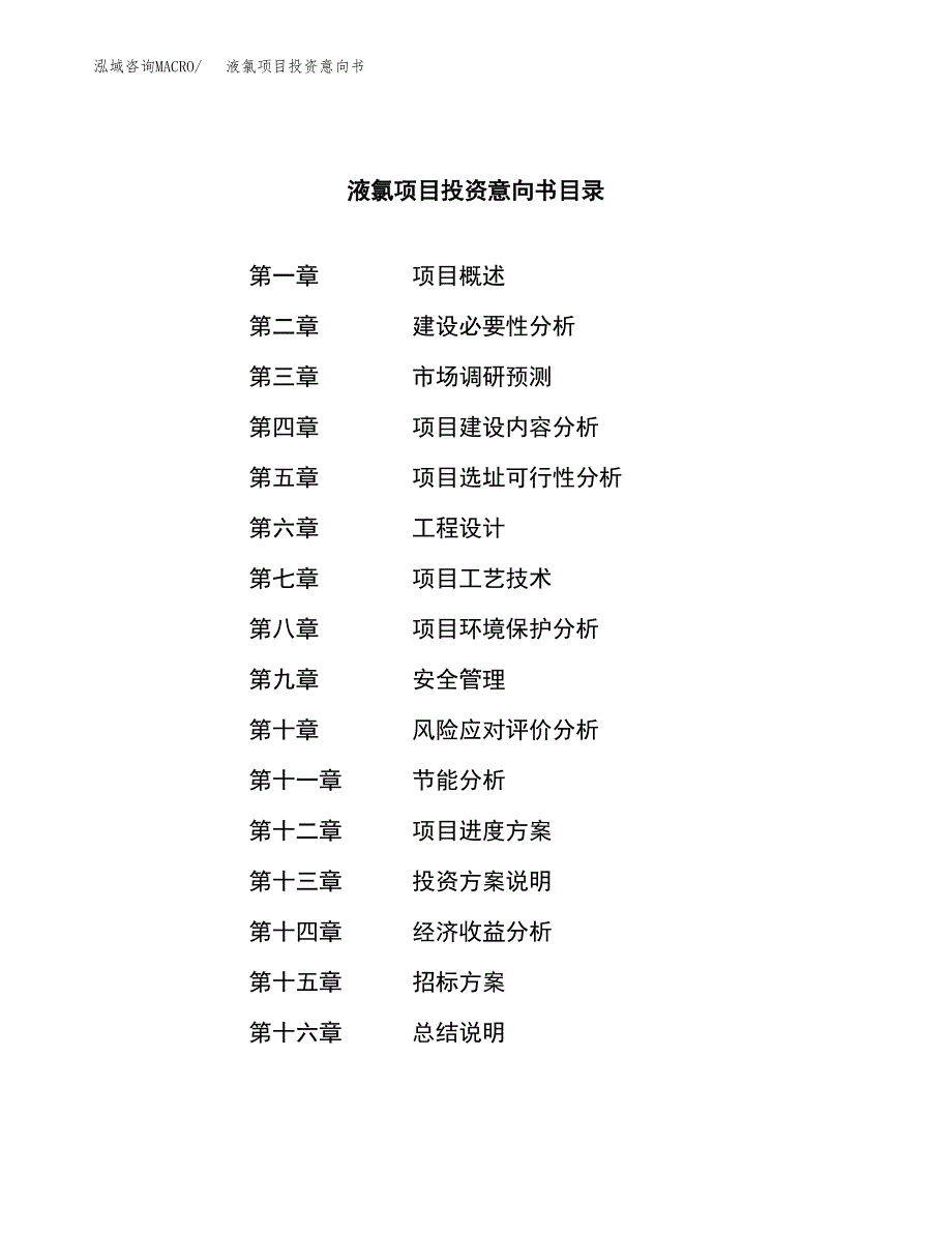 液氯项目投资意向书(总投资13000万元)_第2页