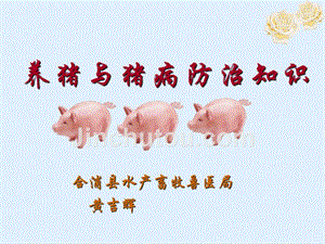 养猪与猪病防治知识