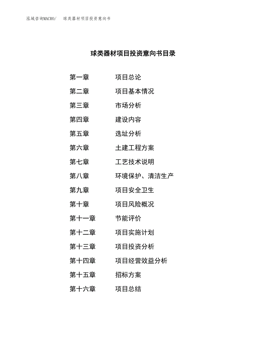 球类器材项目投资意向书(总投资16000万元)_第2页