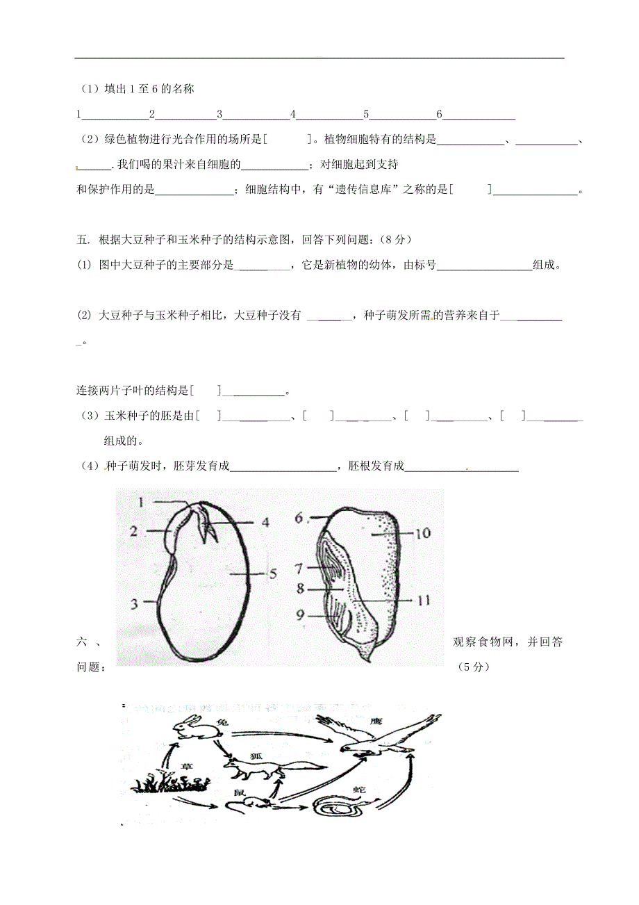 辽宁营口育才初级中学七年级上学期生物期中试卷及答案_第4页