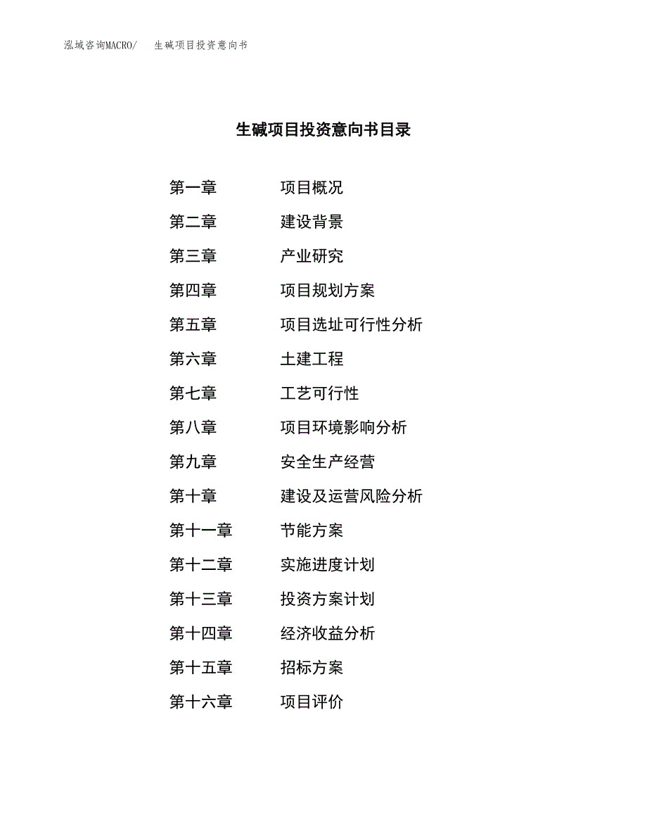 生碱项目投资意向书(总投资12000万元)_第2页