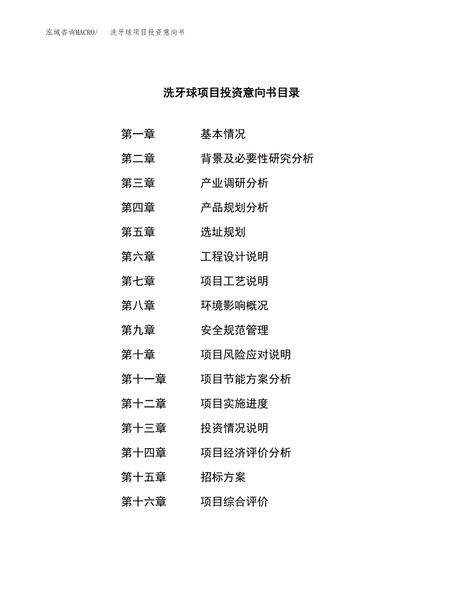 洗牙球项目投资意向书(总投资11000万元)_第2页