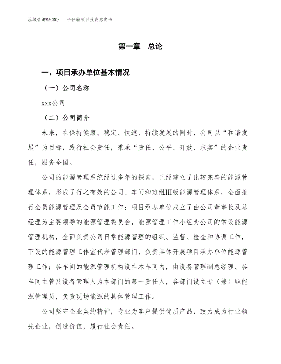 牛仔鞋项目投资意向书(总投资19000万元)_第3页