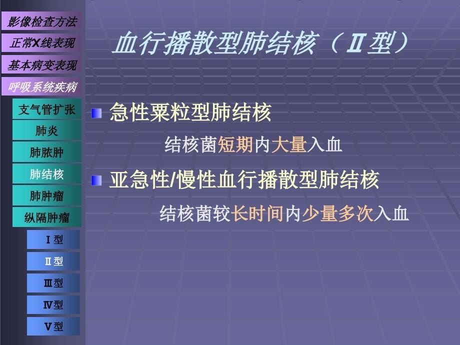 呼吸系统影像诊断肺结核_第5页